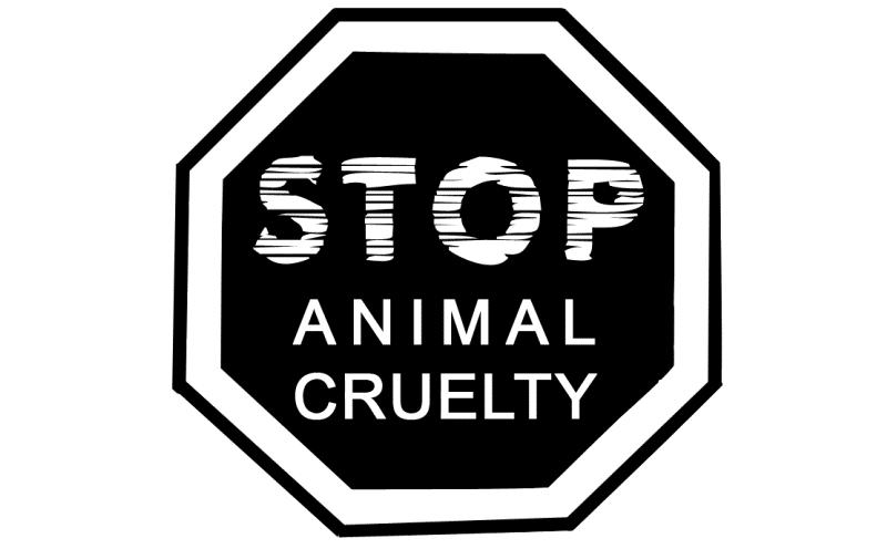 Resolution - Animal Cruelty